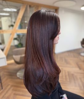 Der perfekte Glow für die festlichen Tage🥂✨

#freshup #hairglow #labiosthetique #coiffeursuisse #chocobrown