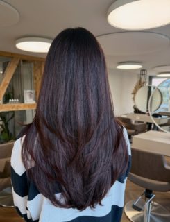 Butterflycut 🦋 ✨

#butterflyhaircut #layershaircut #freshhaircolor #chocobrown #sistershairlounge