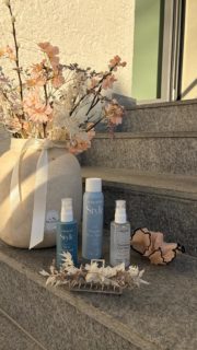 Verlosung ✨🥂

Mir gratuliert eu und freued üs eu bald zgseh🫶🏻

1. Platz : @dorinnnaa.sh 
2. Platz : @viveliii 
3. Platz : @chiaraa.cardillo