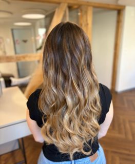 Luxury hair is always in style.✨. #labiosthetique #arbon #balayge #sistershairlounge